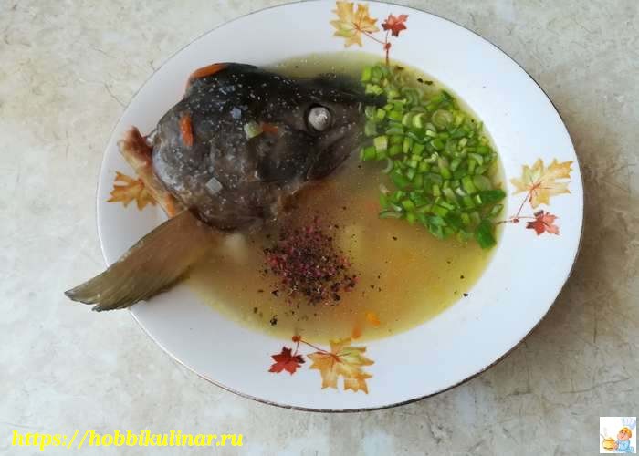 Рыбный суп из головы и хвоста кеты
