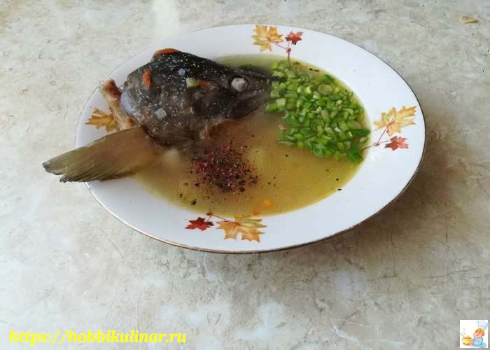 рыбный суп из голов и хвоста